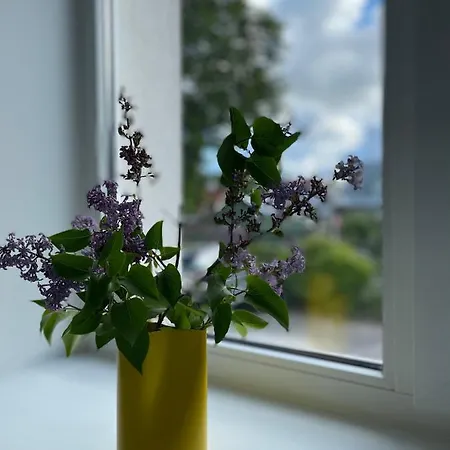 Endla Ja Apartamendid