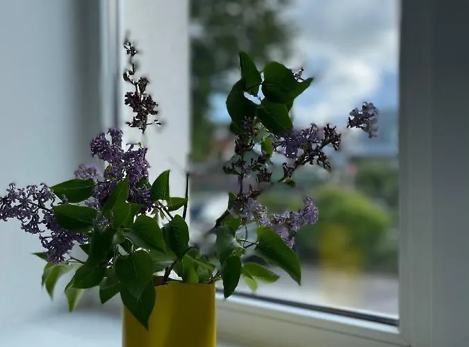 Endla Ja Apartamendid